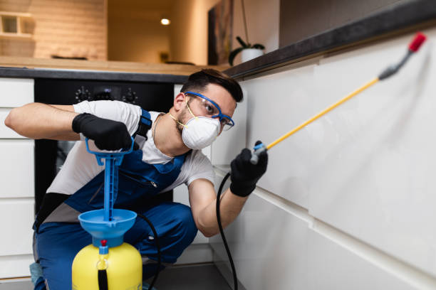 Best Pest Removal Services  in Jackson, MN