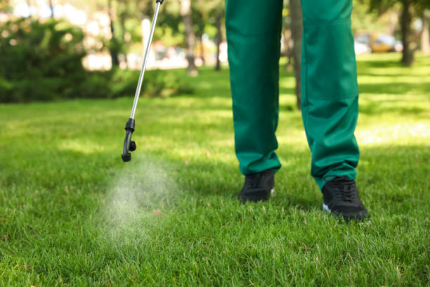 Best Commercial Pest Control Services  in Jackson, MN